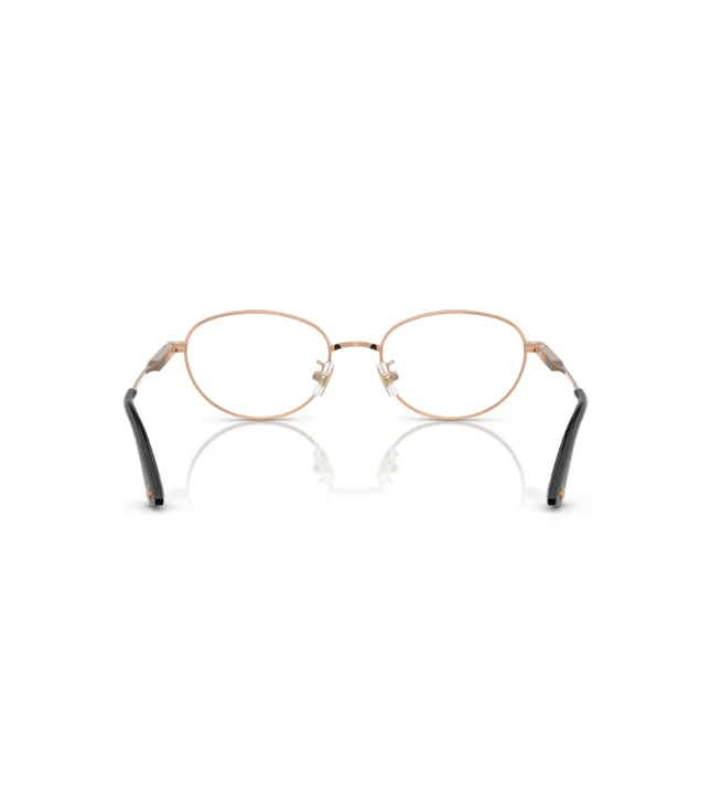 Eyeglasses