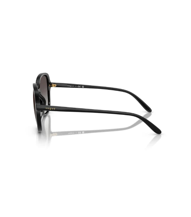 Eyeglasses