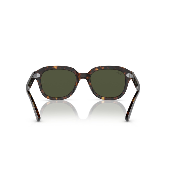 Ray-Ban Erik RB4398 Designer Sunglasses