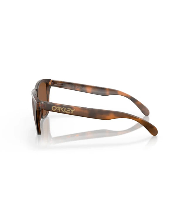 Oakley Frogskins OO9013 Designer Sunglasses