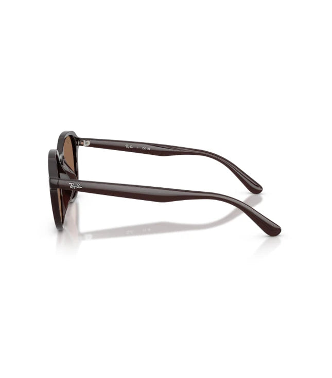 Ray-Ban RB4459D Designer Sunglasses