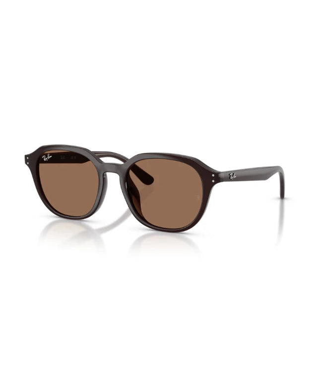 Ray-Ban RB4459D Designer Sunglasses