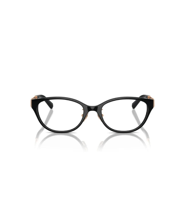 Eyeglasses
