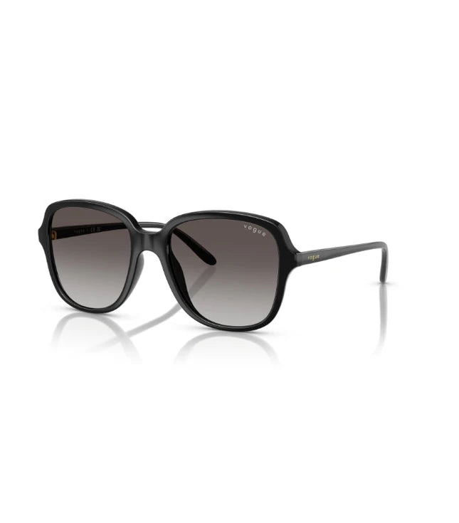 Eyeglasses
