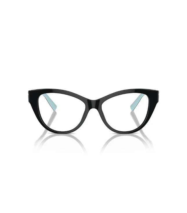 Eyeglasses