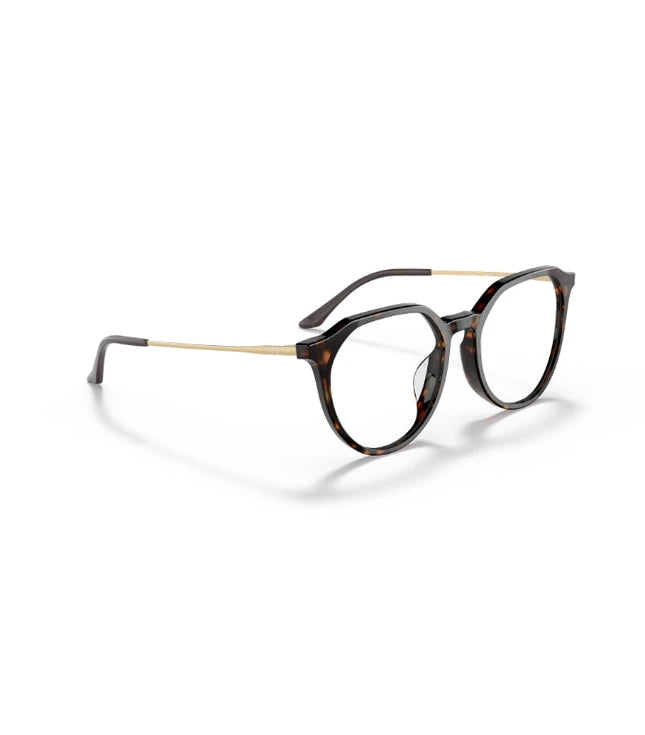 Eyeglasses