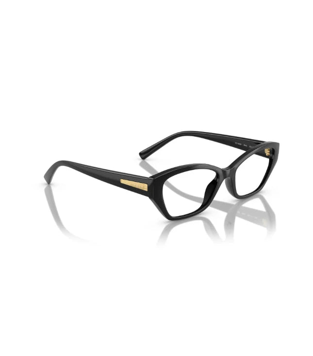 Eyeglasses