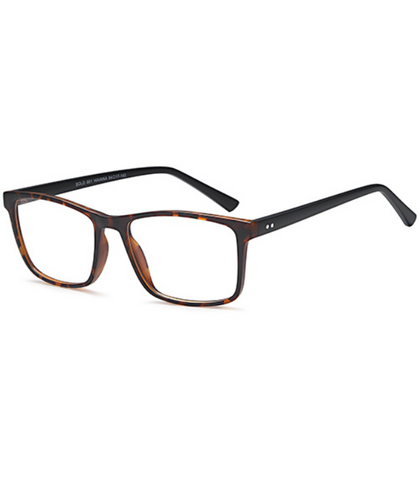 Solo Collection - Solo 801 Glasses