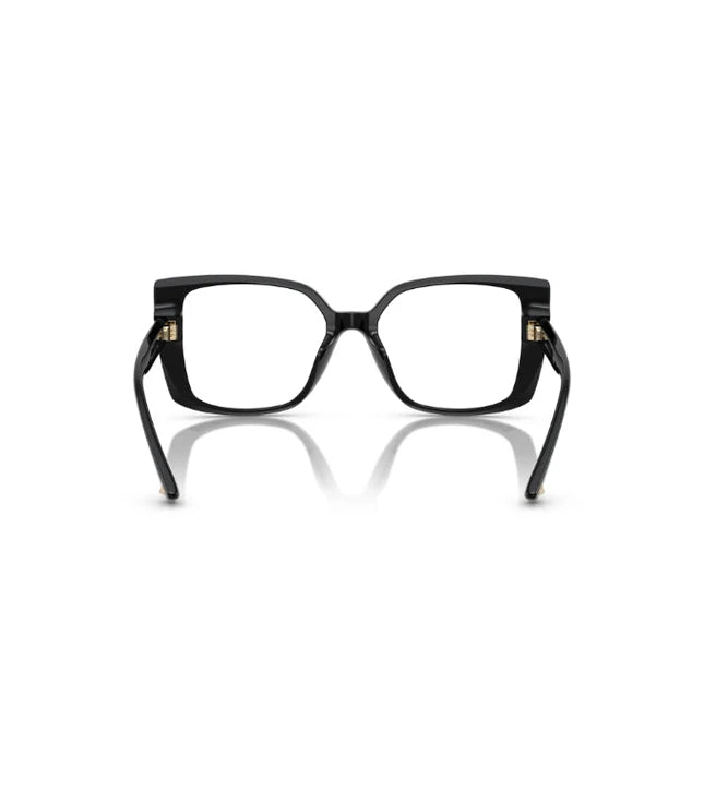 Eyeglasses