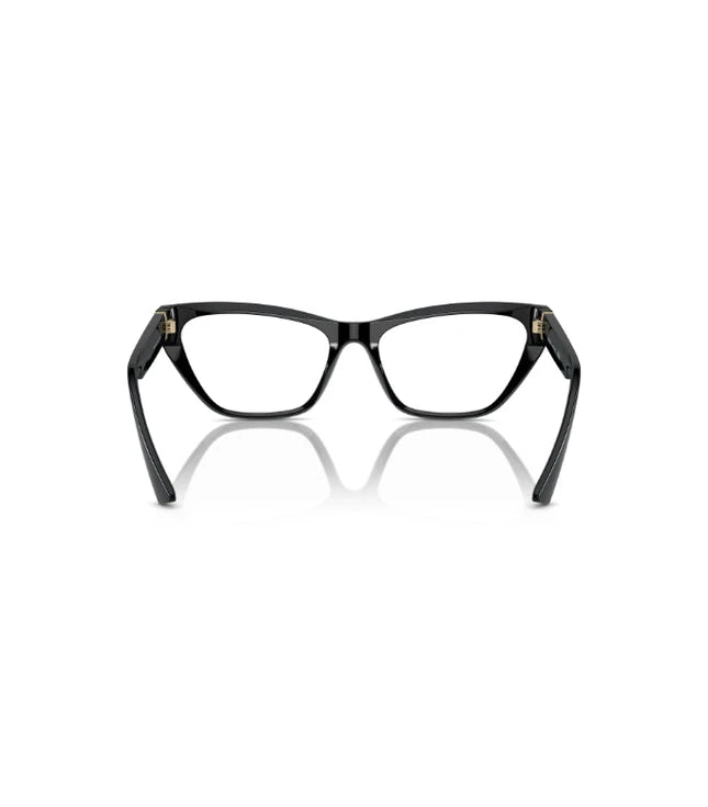 Eyeglasses