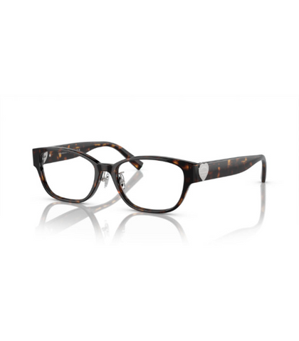 Eyeglasses
