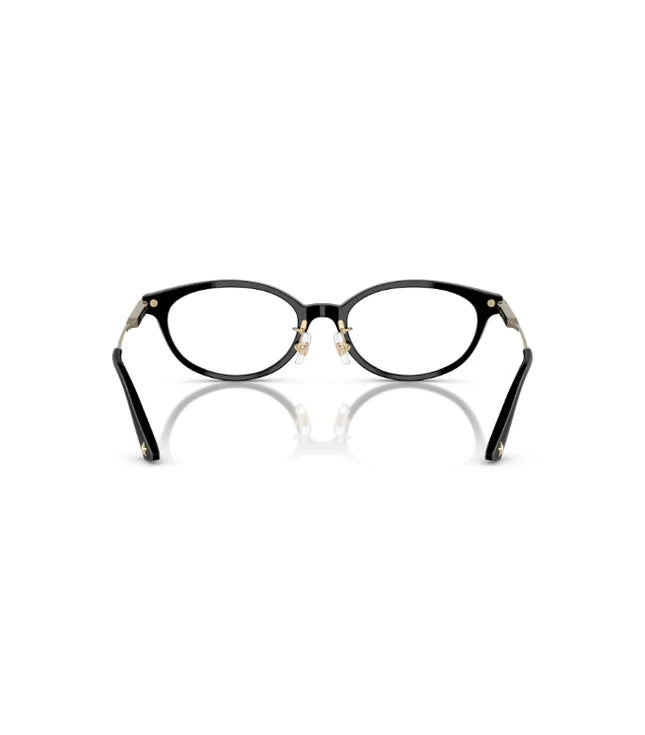 Eyeglasses