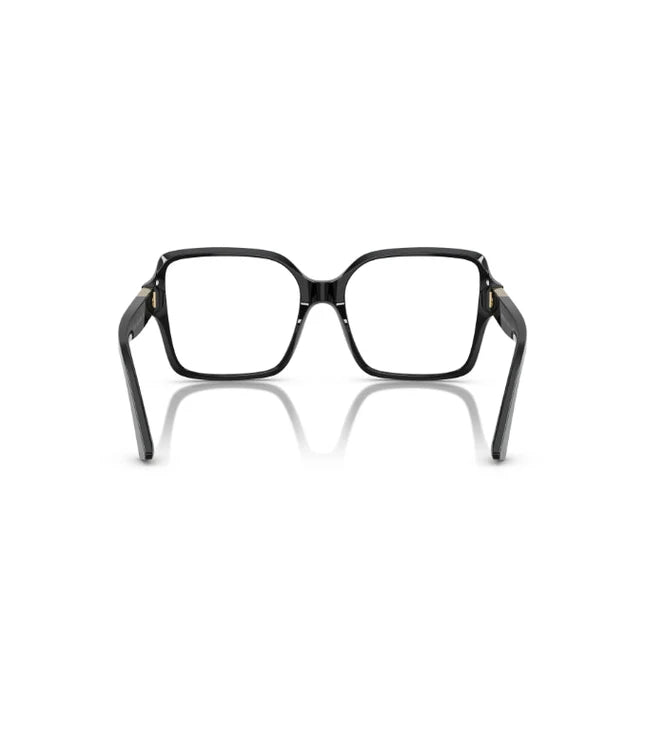 Eyeglasses