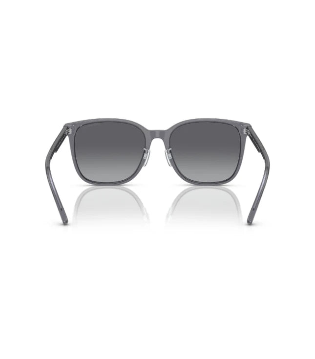Eyeglasses