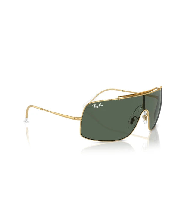 Ray-Ban Wings III RB3897 Designer Sunglasses