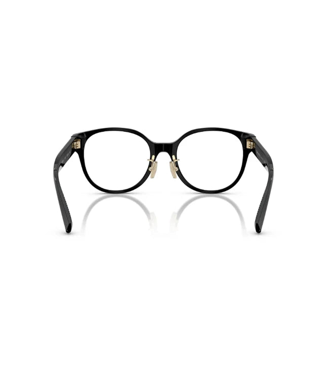 Eyeglasses