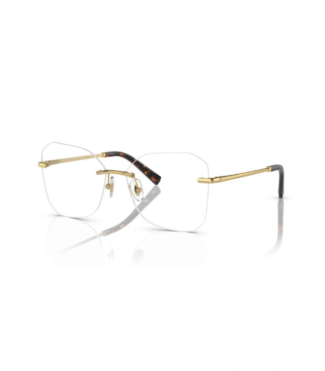Eyeglasses