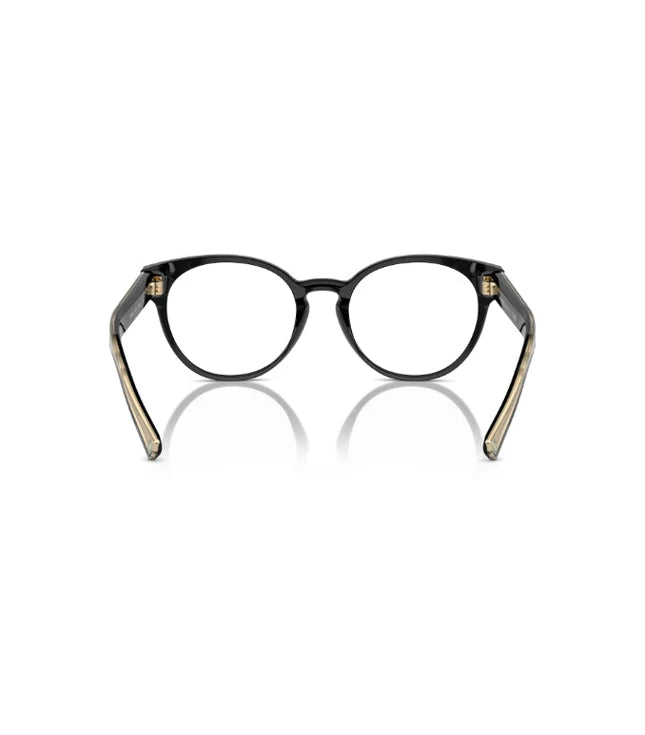 Eyeglasses