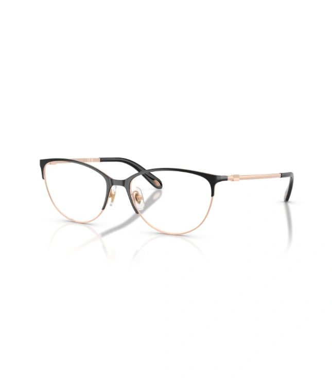 Eyeglasses