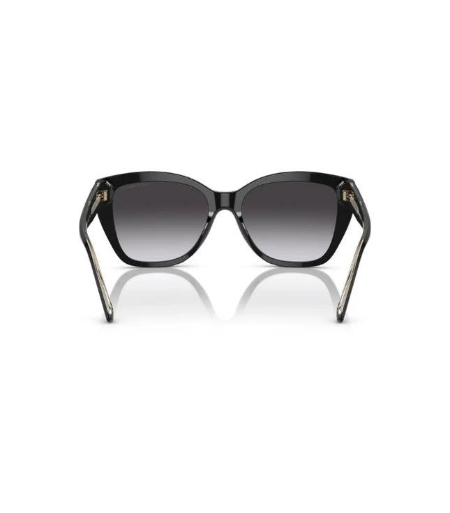 Eyeglasses