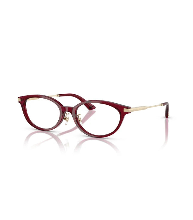 Eyeglasses