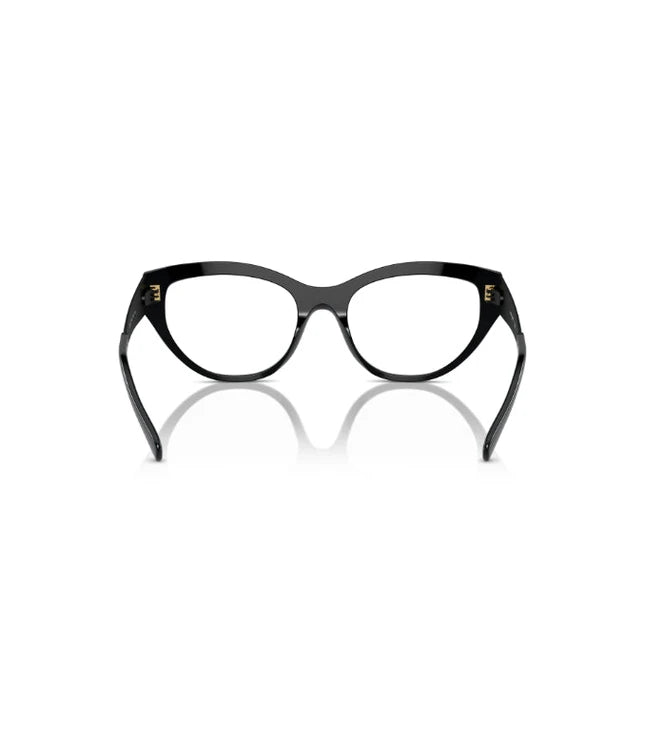 Eyeglasses
