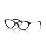 Eyeglasses