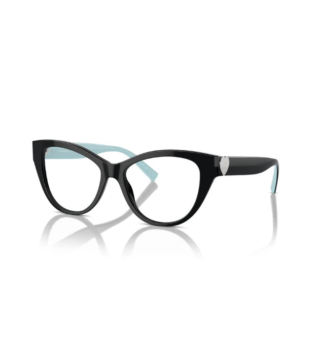 Eyeglasses