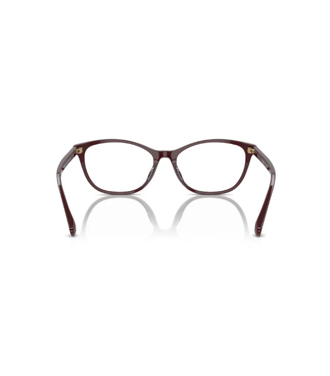 Eyeglasses