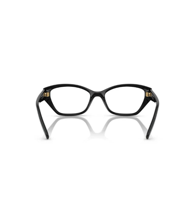Eyeglasses