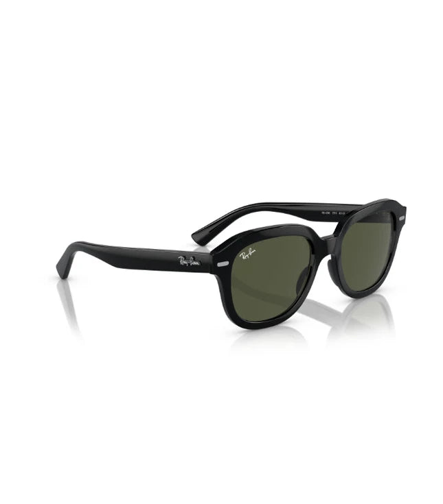 Ray-Ban Erik RB4398 Designer Sunglasses