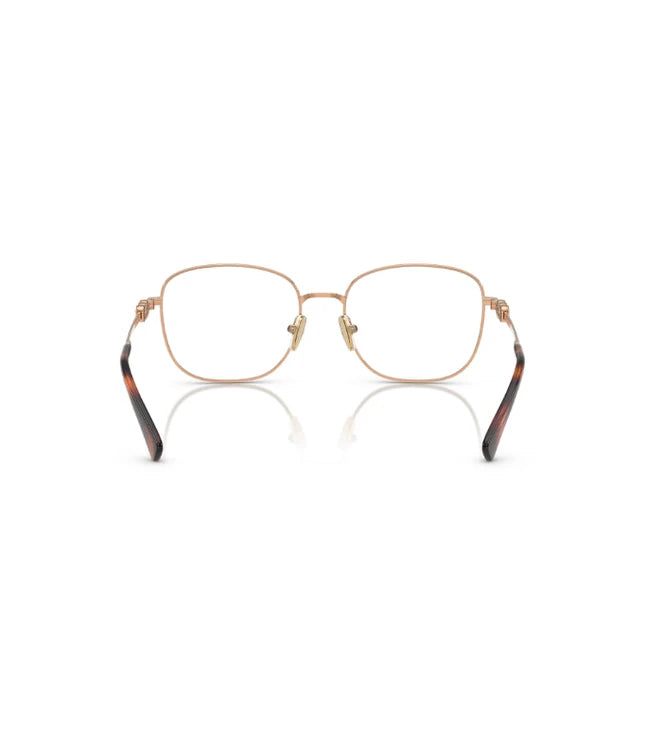 Eyeglasses