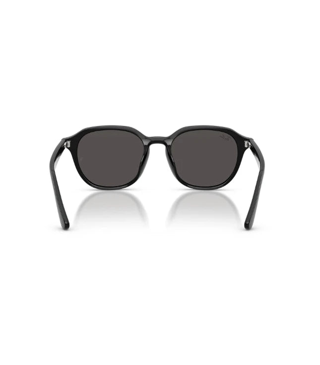 Ray-Ban RB4459D Designer Sunglasses