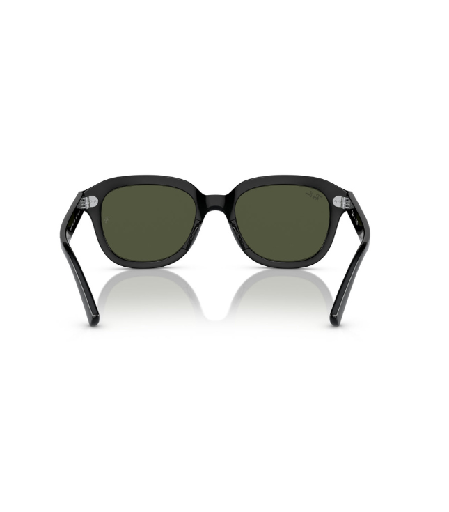 Ray-Ban Erik RB4398 Designer Sunglasses