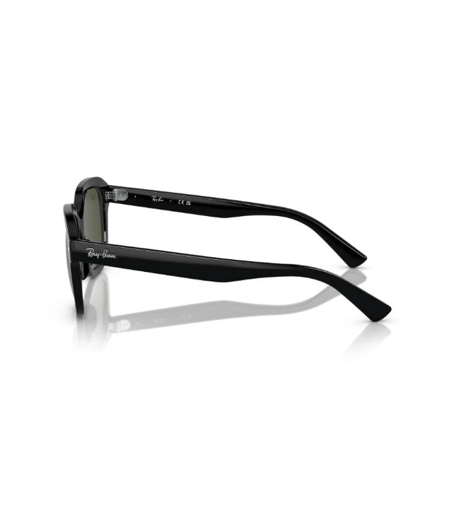 Ray-Ban Erik RB4398 Designer Sunglasses