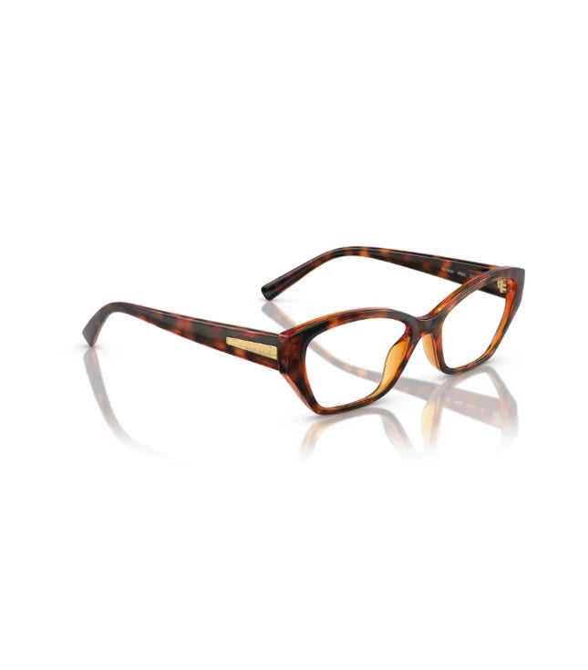 Eyeglasses