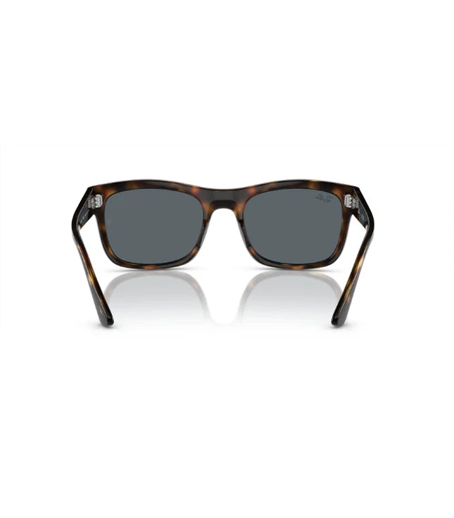 Ray-Ban RB4428 Designer Sunglasses