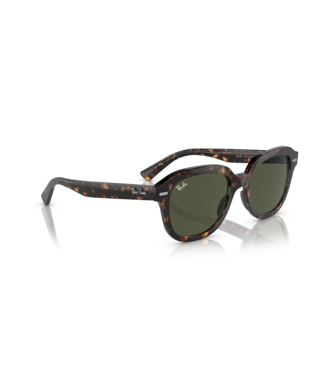 Ray-Ban Erik RB4398 Designer Sunglasses