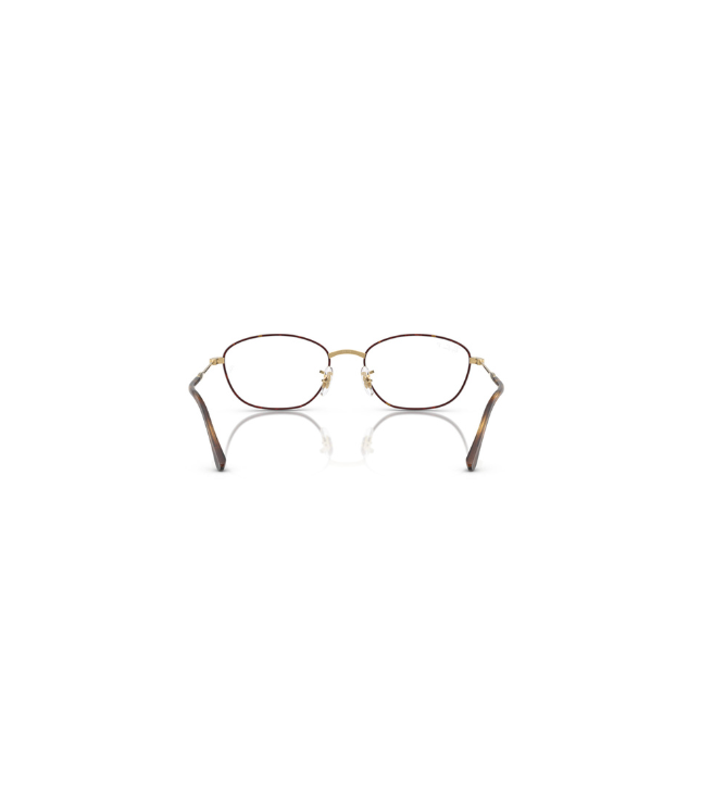 eyeglasses