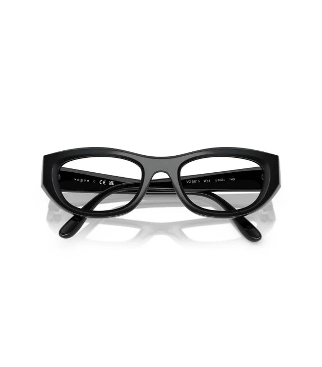 Eyeglasses