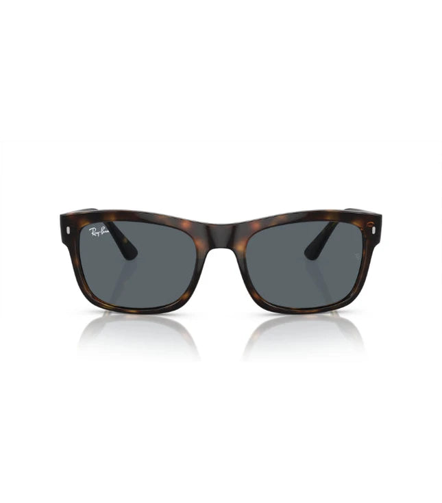 Ray-Ban RB4428 Designer Sunglasses