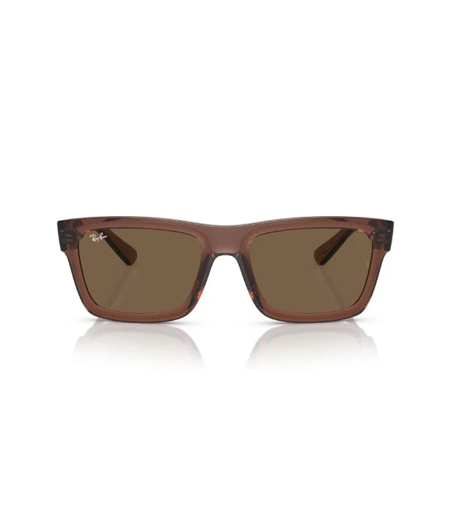 Ray-Ban Warren RB4396 Designer Sunglasses