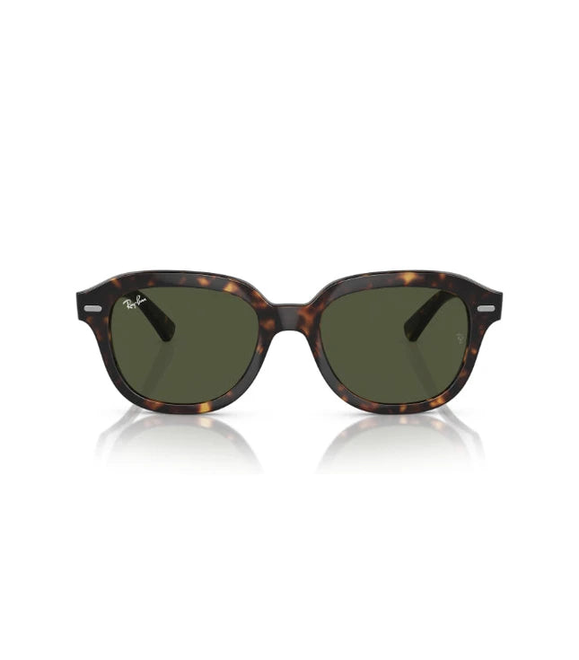 Ray-Ban Erik RB4398 Designer Sunglasses