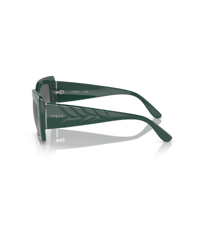 Eyeglasses