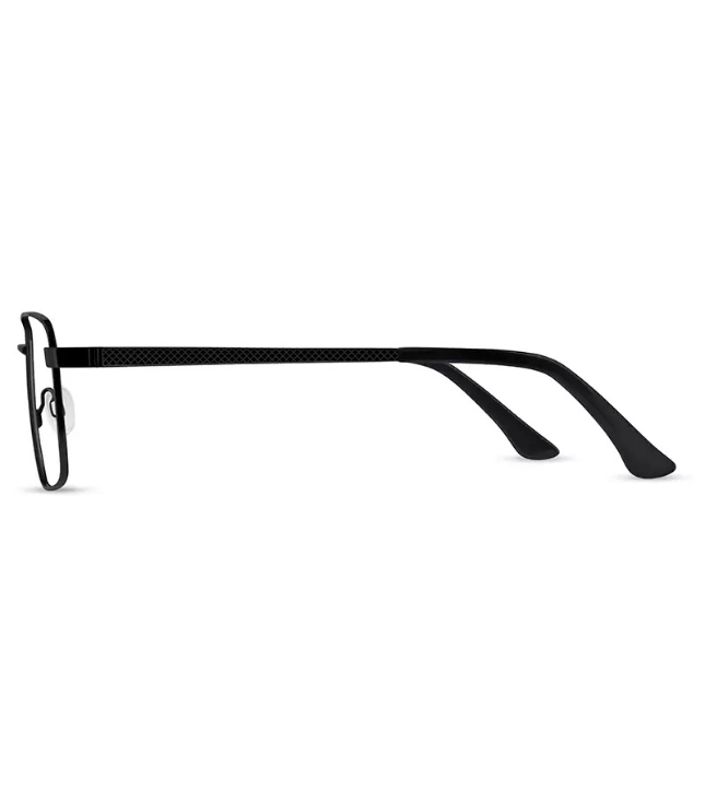 Eyeglasses