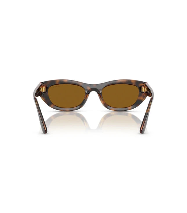 Eyeglasses