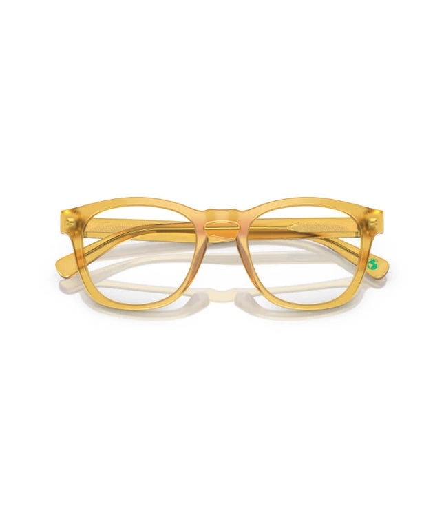 Eyeglasses