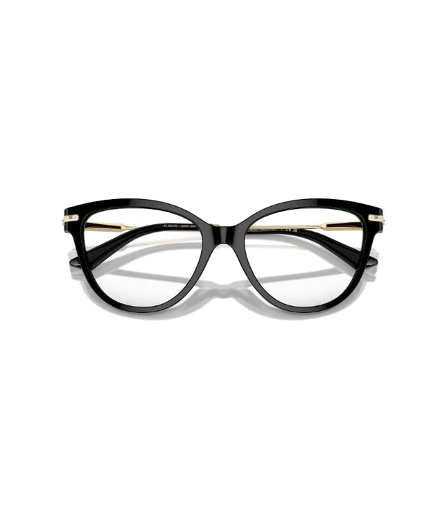 Eyeglasses