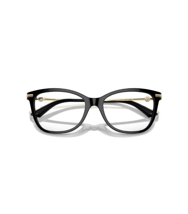 Eyeglasses