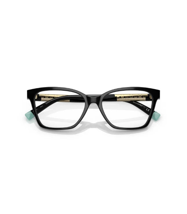 Eyeglasses